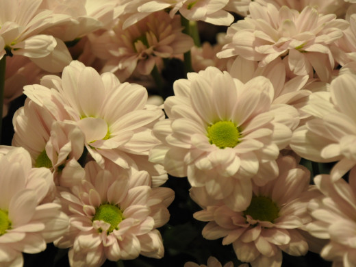 429653 (a): :1600x1200